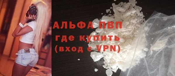 крисы Абаза