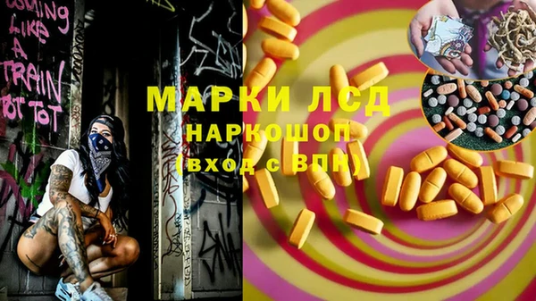 крисы Абаза