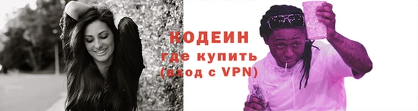 крисы Абаза