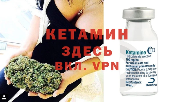 крисы Абаза