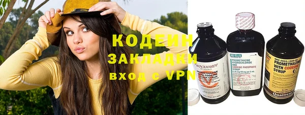 крисы Абаза