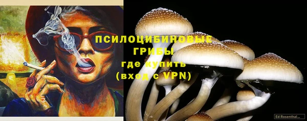крисы Абаза