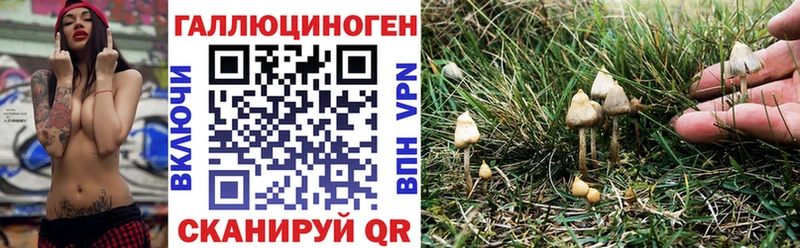 Псилоцибиновые грибы MAGIC MUSHROOMS  Знаменск 